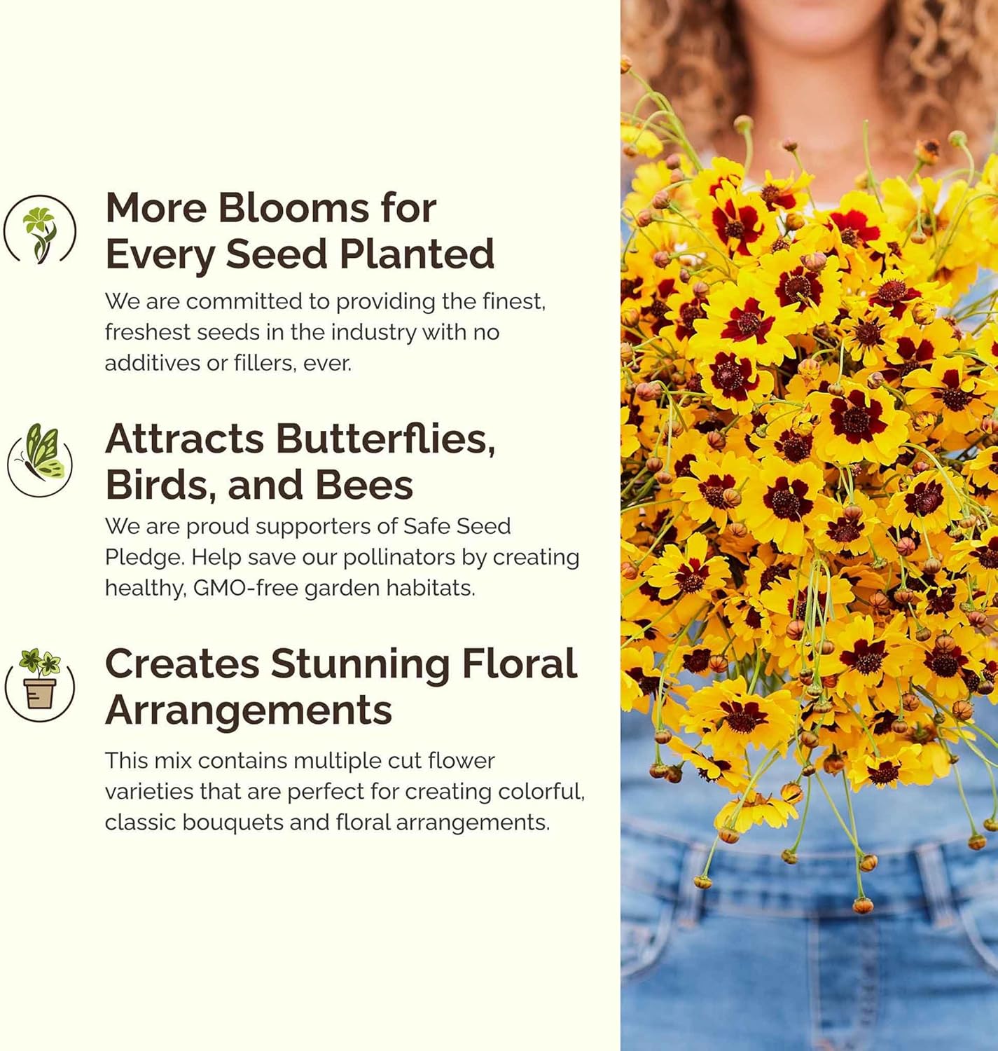 Eden Brothers Mellow Yellow Flower Mixed Seeds for Planting, 1/4 lb, 120,000+ Seeds with Painted Daisy, Zinnia, Cosmos | Attracts Pollinators, Plant in Spring or Fall, Zones 3, 4, 5, 6, 7, 8, 9, 10