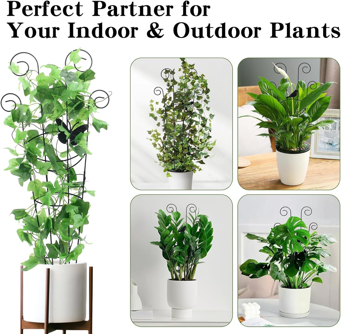 ZOUTOG Trellis for Climbing Plants Indoor 4 Pack 30 Inch,Rustproof Metal Garden Trellis for Potted Plants,Houseplant Support Indoor Outdoor for Ivy Pothos Monstera Hoya Flower Vines(Butterfly Shape)