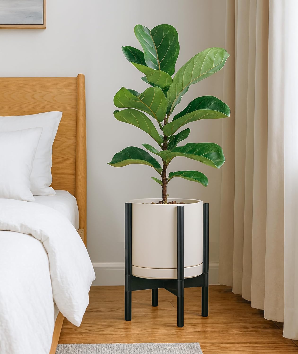 D'vine Dev Ceramic Planter with Ebony Stand - 10 Inch Modern Round Flower Pot with Wood Planter Holder, Oatmeal, 55-B-L-8