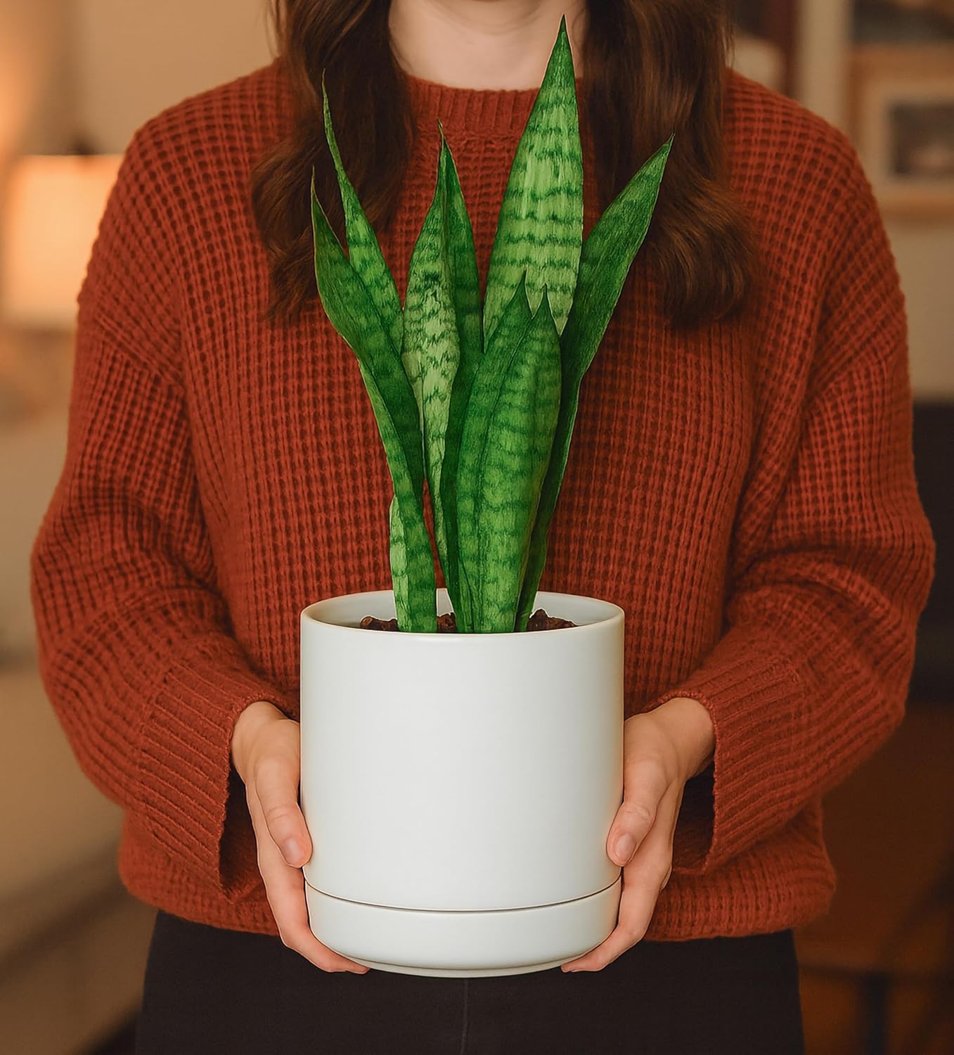 D'vine Dev Set of 2 Plants Pots, 6.5 Inch Ceramic Planter Pot for Plants with Drainage Hole and Saucer, White, 94-V-C-1