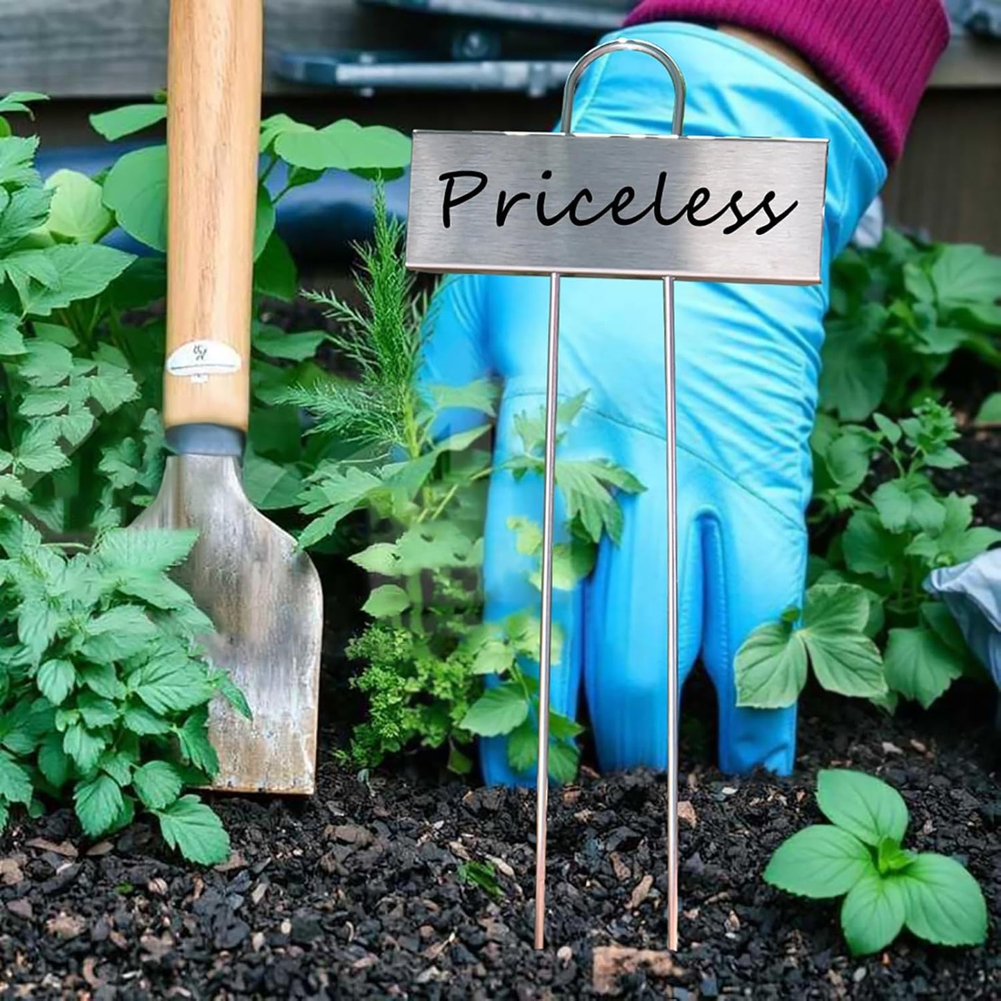 Plant Labels Metal Stainless Steel Garden Plant Markers Weatherproof Garden Stake Tag Plant Tags with Pen for Outdoor Seedling Flower Herb Vegetable Greenhouse(30 Pack) (Stainless Steel)