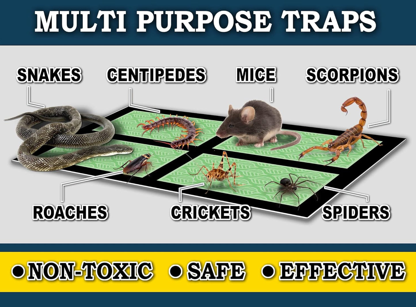 MaxGuard Mini Glue Traps (48 Traps) Non-Toxic Extra Sticky Glue Board Pre-Baited with Fruity Scent Attractant Trap & Kill Insects, Bugs, Spiders, Crickets, Scorpions, Cockroaches, Centipedes, Mice