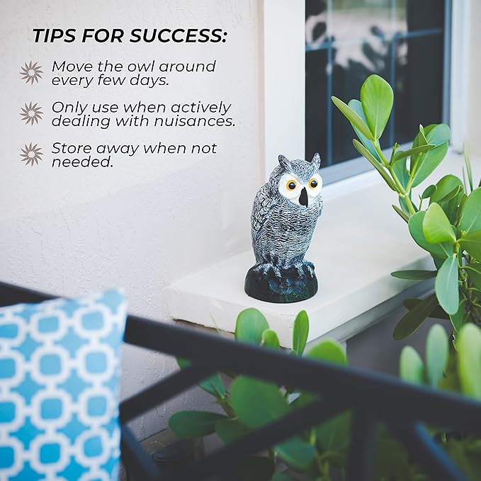 Galashield Owl Decoy to Scare Birds Away | Plastic Owls to Scare Birds Away | Owl Statue for Garden & Outdoors [Set of 2]