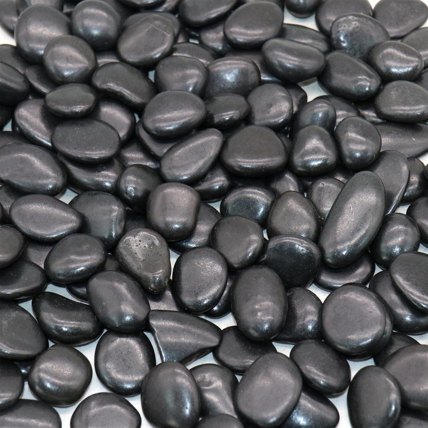 Black Rocks for Plants. Polished Decorative Pebbles. 1/2 to 1 Inch 10 lbs. for Garden, Landscaping, Succulents, pots (SM (0.5 to 1 Inch), -Polished, 10)