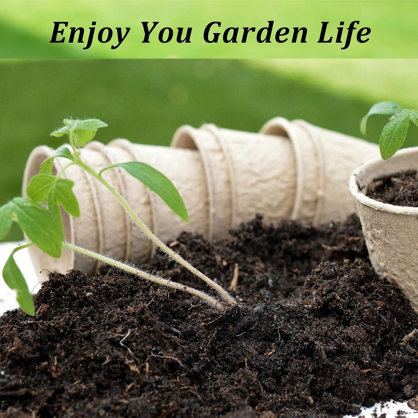 100 Pack 3 inches Biodegradable Seedling Peat Pots for Plants Seed Starter, Indoor Planting Cups for Seedlings with 100 Pack Plant Markers