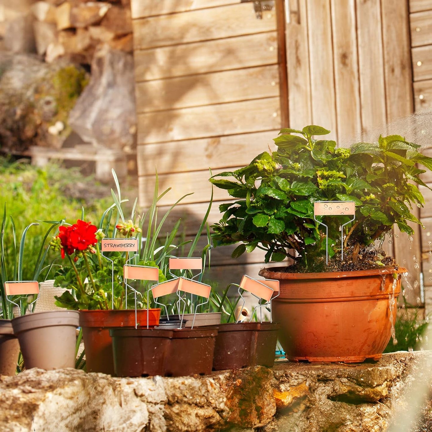 Moxweyeni 60 Pcs Metal Garden Tags Plant Labels for Garden Waterproof Plant Markers with 2 Permanent Pen Planting Nursery Tags Reusable Labels Stake for Plants(Copper,10 Inch)