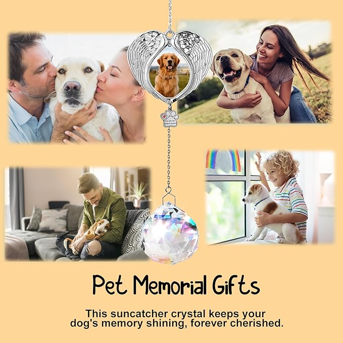 Pet Memorial Suncatcher - Dog Memorial Gifts for Loss of Dog, Christmas Pet Paw Print Photo Ornament, Pet Sympathy Gift, Bereavement Gift Ideas for Dog or Cat Passing Away, Remembrance, Silver Metal
