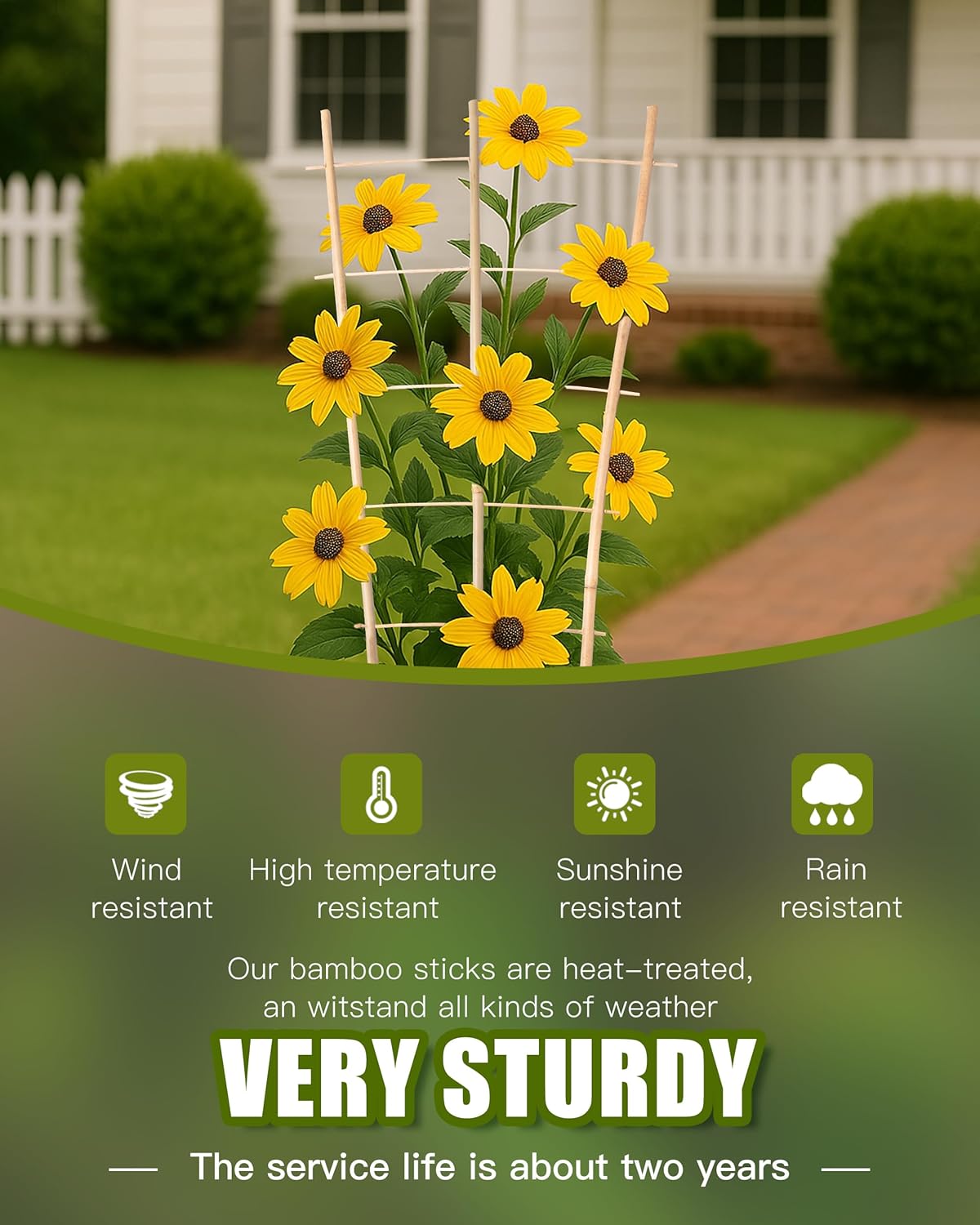 Bamboo Garden Trellis 24 Inch, 3 Pack Plant Trellis 2FT for Climbing Plants, Vines, Vegetables, Flowers, Potted Plants, Natural Bamboo Indoor Outdoor Support