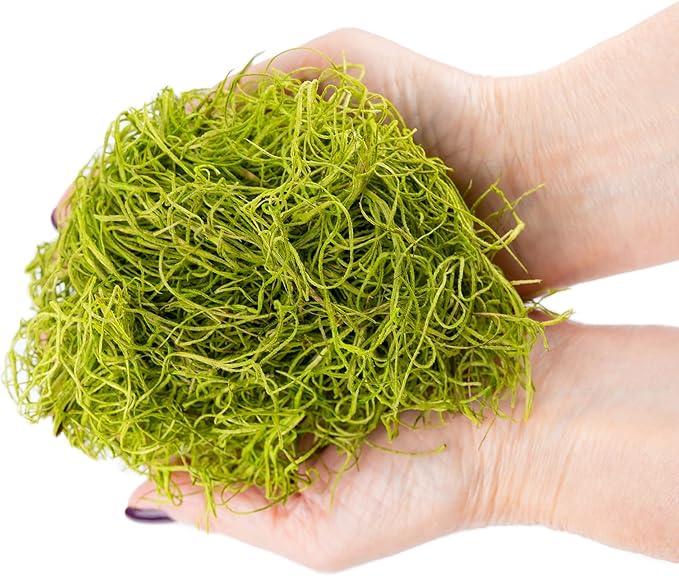 Premium Spanish Moss in Spring Green| Natural Preserved - 20 Quart - Great Ground Cover - Filler for Potted Plants - by GARDENERA (4 Bags of 5 Quart)