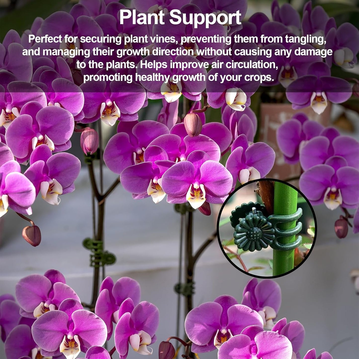 50 Pcs Plant Clips Orchid Clips,Plant Orchid Support Clips,Flower and Vine Clips，Garden Clips，Plant Clips for Climbing Plants