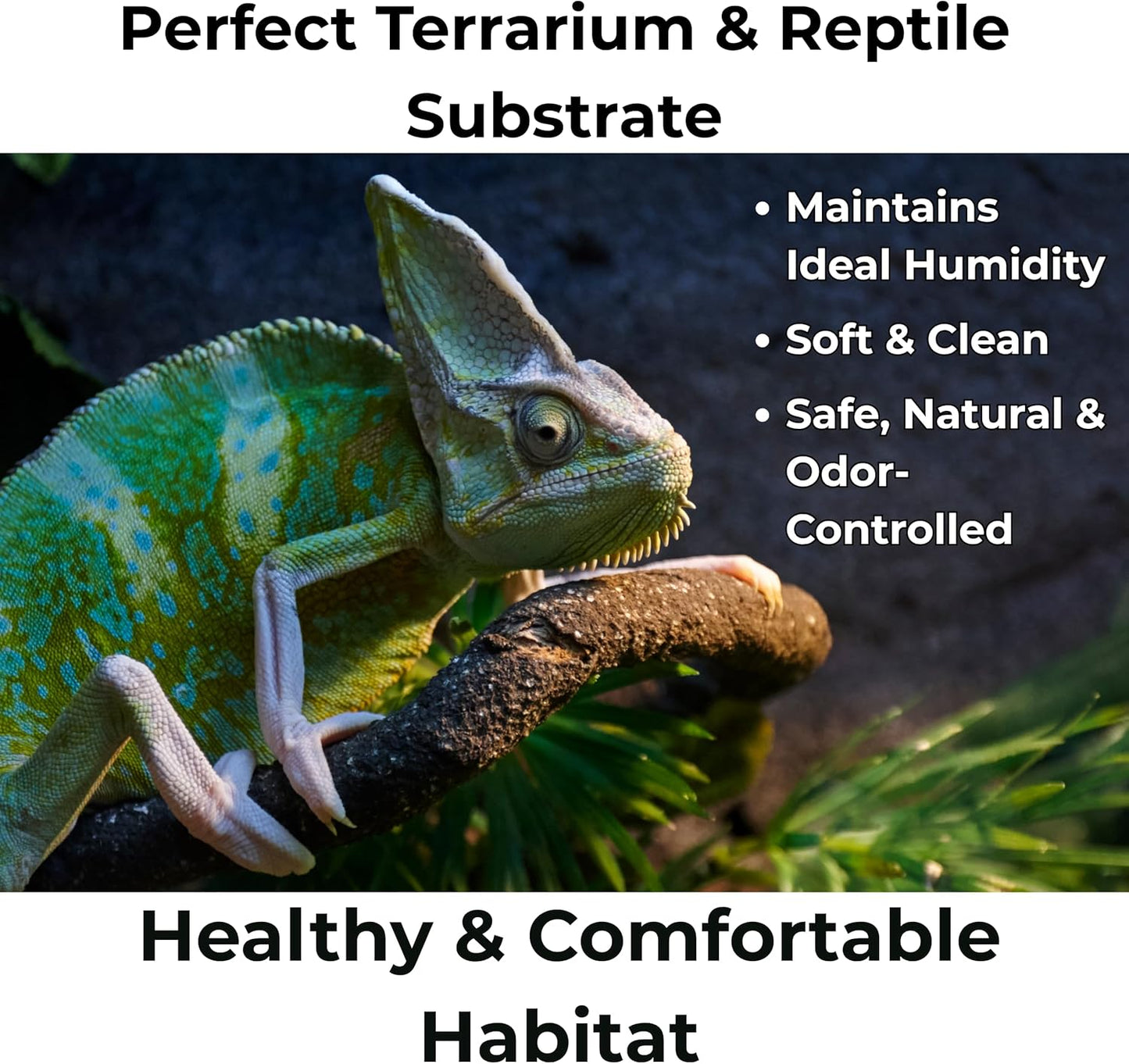 Peat Moss for Plants – Organic Sphagnum Peat Moss for Orchids, Terrariums, Seed Starting, Reptiles & Potting Soil Mix (5 quarts)