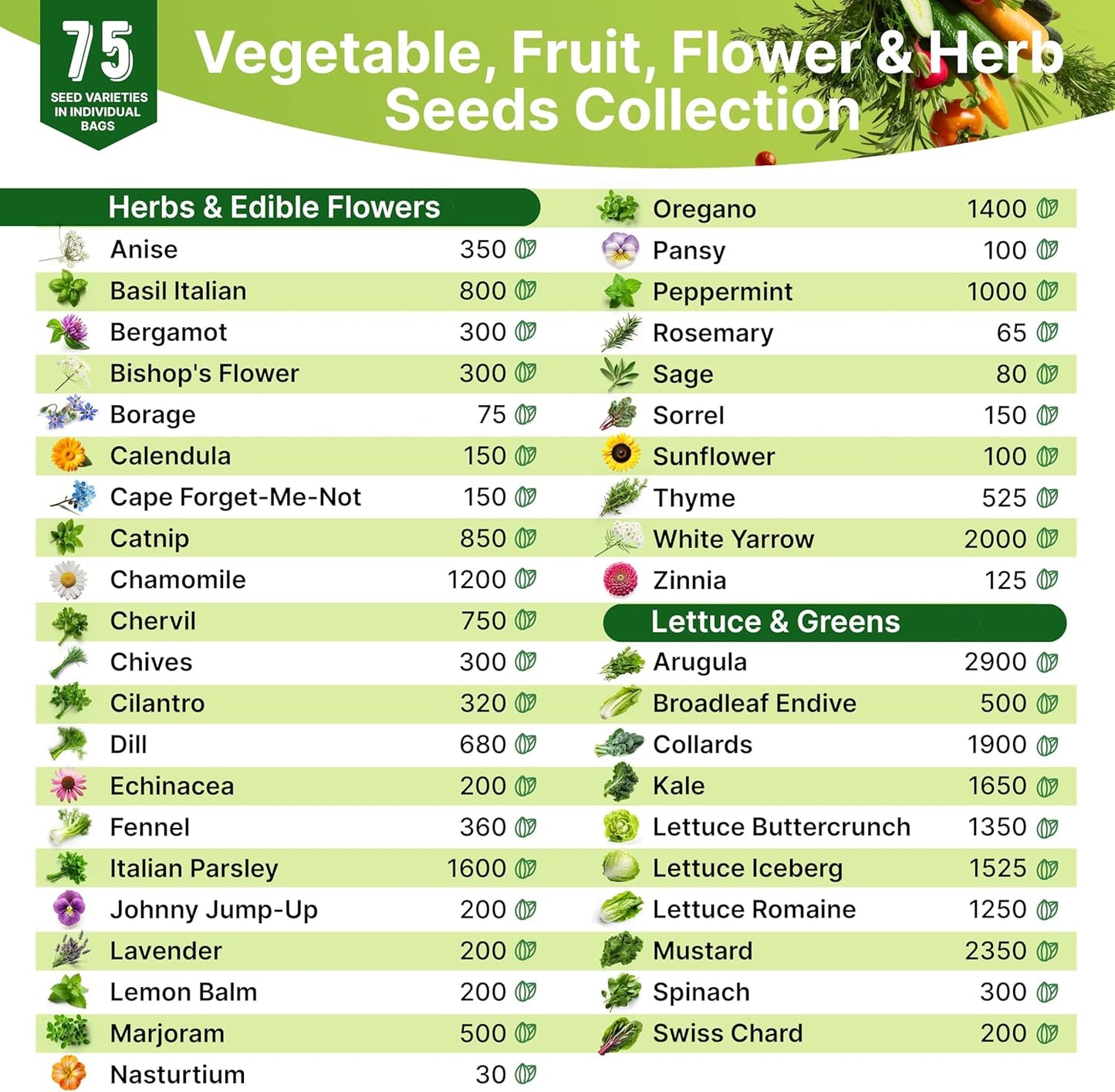 Organo Republic Medicinal & Tea Herb Seeds Variety Pack for Indoor & Outdoors - 75 Variety Pack. Non-GMO Heirloom Garden Seeds: Rosemary, Cilantro, Basil, Oregano, Parsley, Dill, Lavender, Catnip