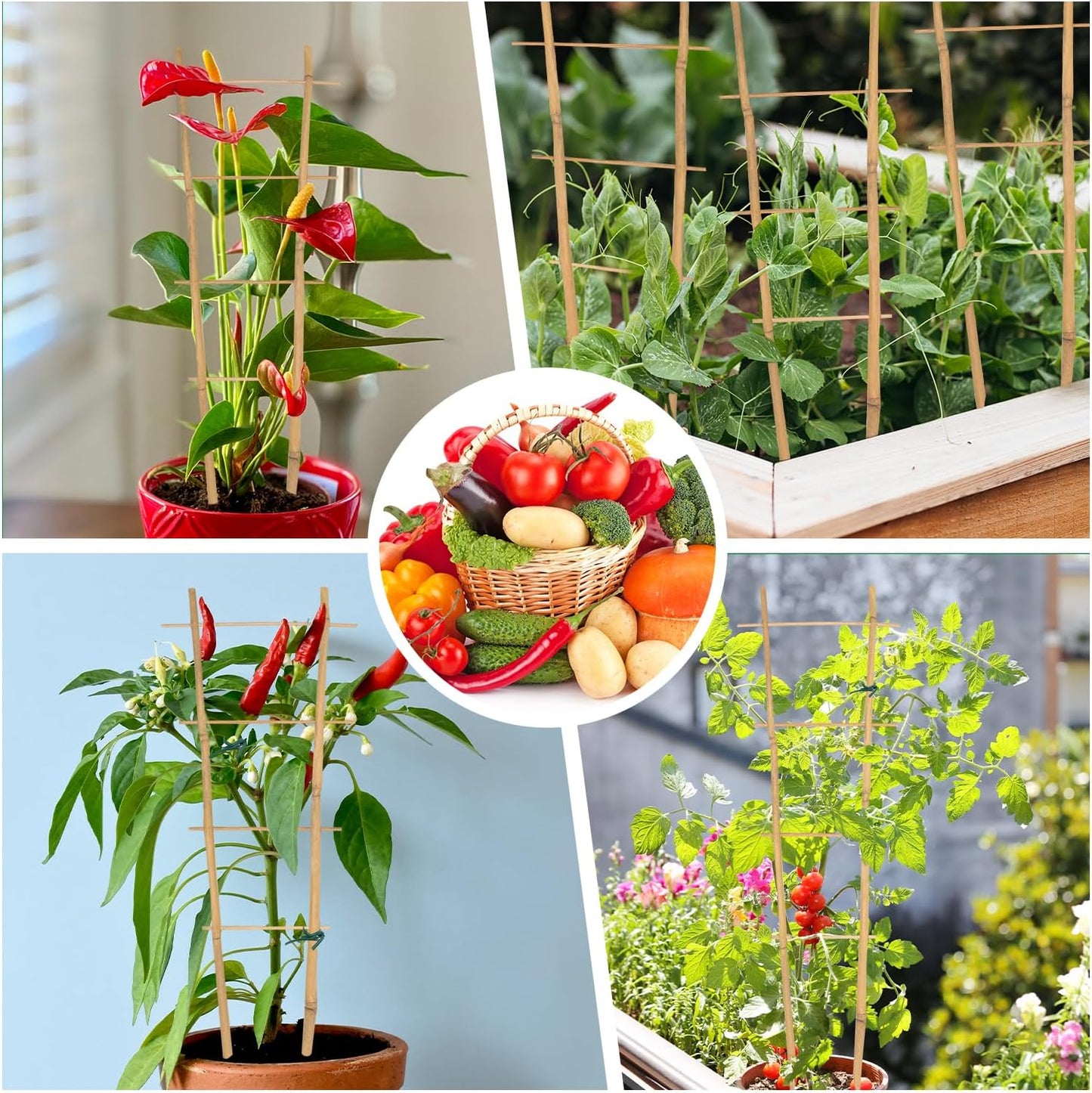 Bamboo Trellis 16" Ladder Vertical Gardening Plant Trellis for Climbing Plants Orchid Monstera and Indoor Potted Plants-6 Pack