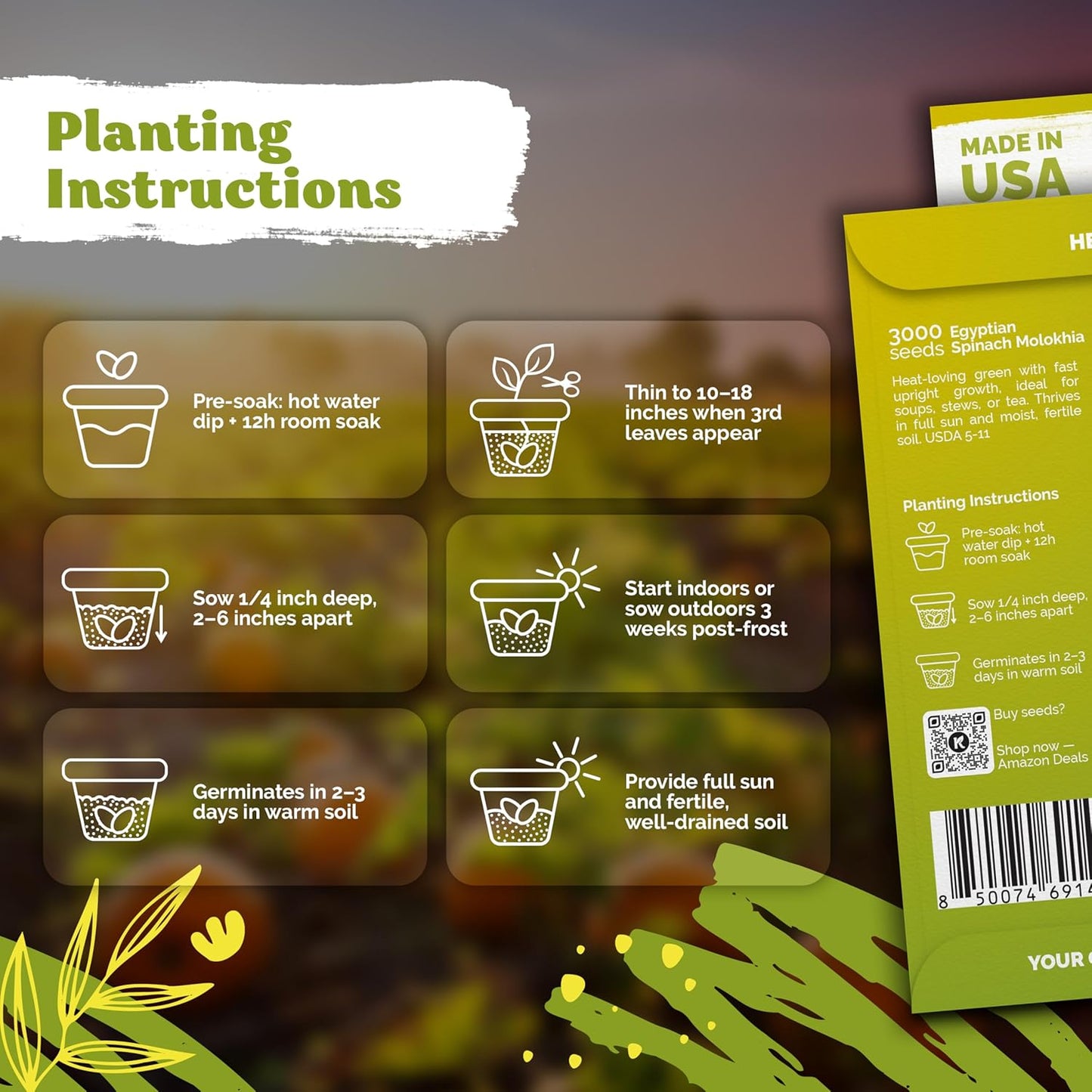 KVITER 3000 Egyptian Spinach Seeds - Molokhia (Corchorus Olitorius) – Jute Leaves, Ewedu, Rau Day, Saluyot Vegetable Seed – Non GMO & Heirloom Vegetable Seeds for Planting Outdoors & Indoors