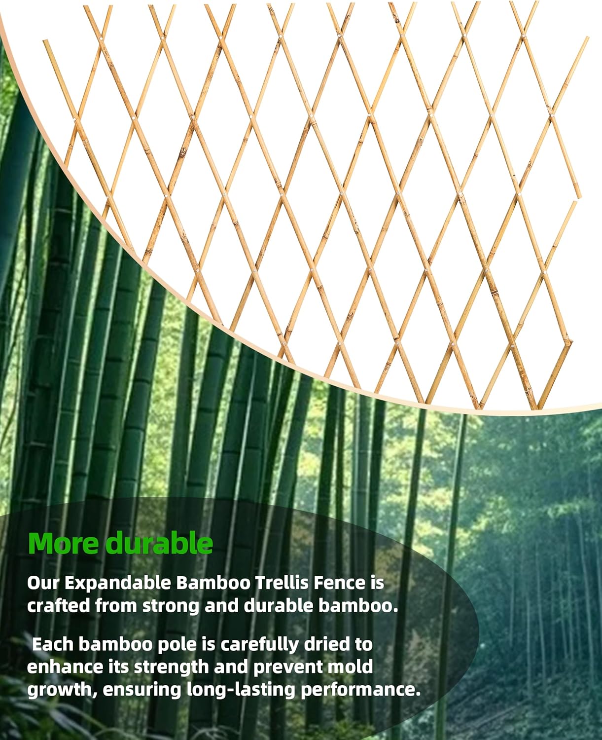 Expandable Bamboo Trellis Fence 48x72 Inch, Plant Support for Climbing Plants, Vines, Ivy, Roses, Vegetables, Cucumbers, Clematis, Garden Fence Indoor Outdoor