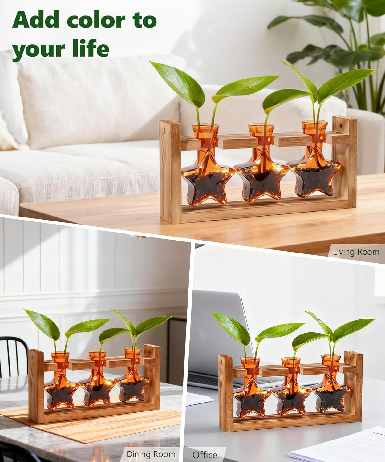 Nacome Plant Terrarium with Wooden Stand,Star-Shaped Planter Propagation Station Glass Vase for Home Office Decor- Unique Gifts for Plant Lovers Women Mom(Orange)