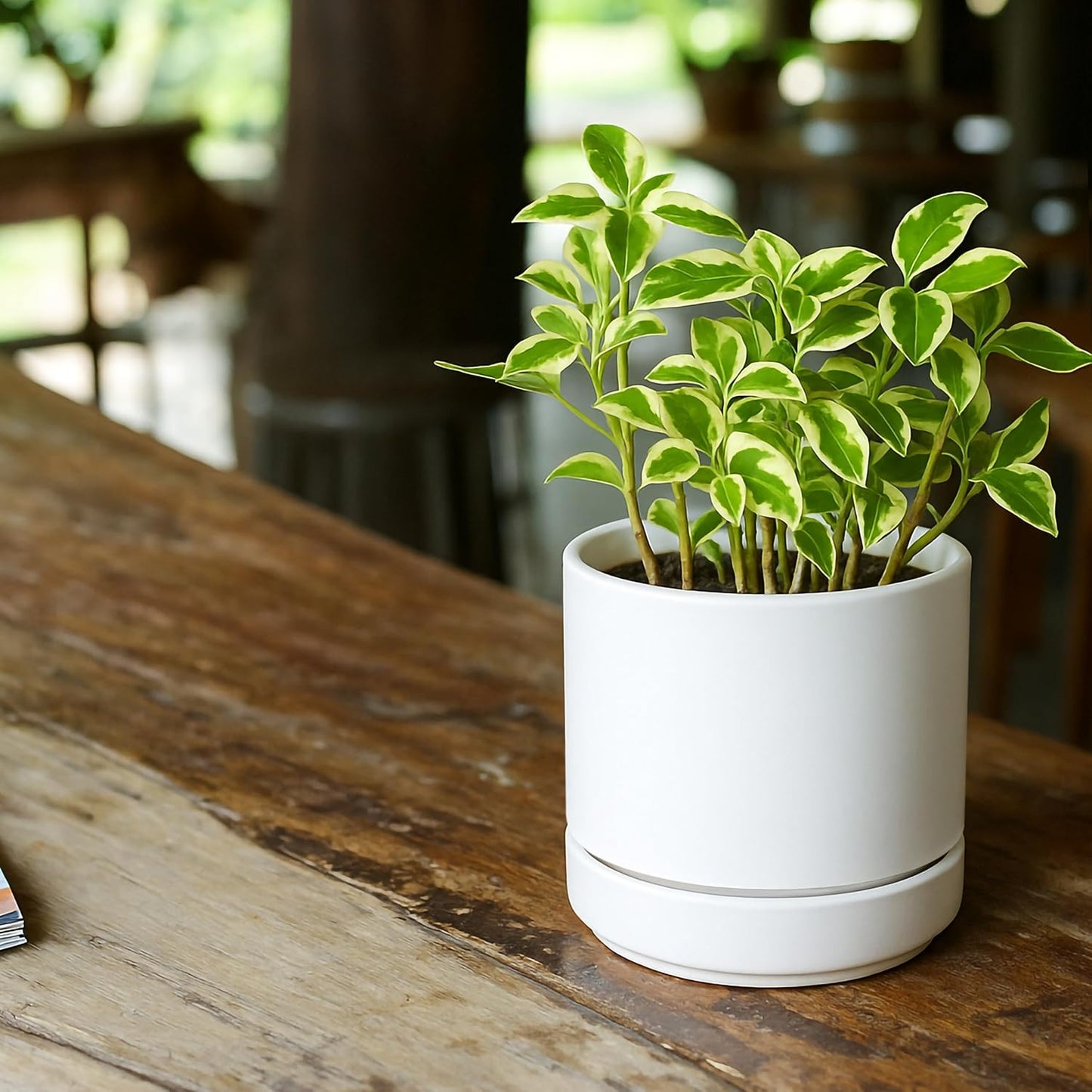 D'vine Dev 4 Inch & 6 Inch & 8 Inch, Set of 3 Round Ceramic Planter Pot with Drainage Hole and Saucer, White, 94-T-M-1