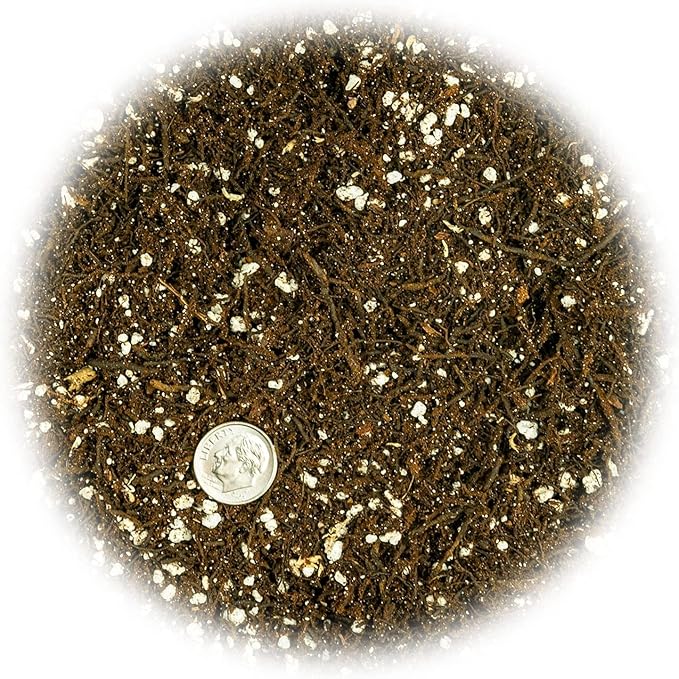 Fern + Perlite Soil Mix - 10 Quart - for Repotting and Planting Succulents and Cactuses (2 Bags of 5 Quart)