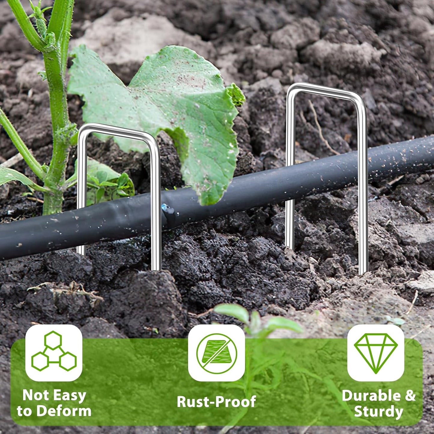 Landscape Staples 12 Inch, 200 Pack 8 Gauge Galvanized Garden Staples U-Shaped Landscape Stakes, Heavy Duty Ground Stakes for Outdoor Decorations, Weed Barrier Fabric, Irigation Tubing, Tent