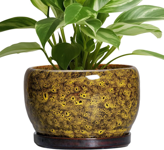 SQOWL Ceramic Flower Pots - 8 inch Ceramic Planter for Indoor Plants, Decorative Plant Pots with Drainage Hole and Saucer, Round Planter Outdoor, Porch Backyard Decor, Housewarming Gifts, Yellow