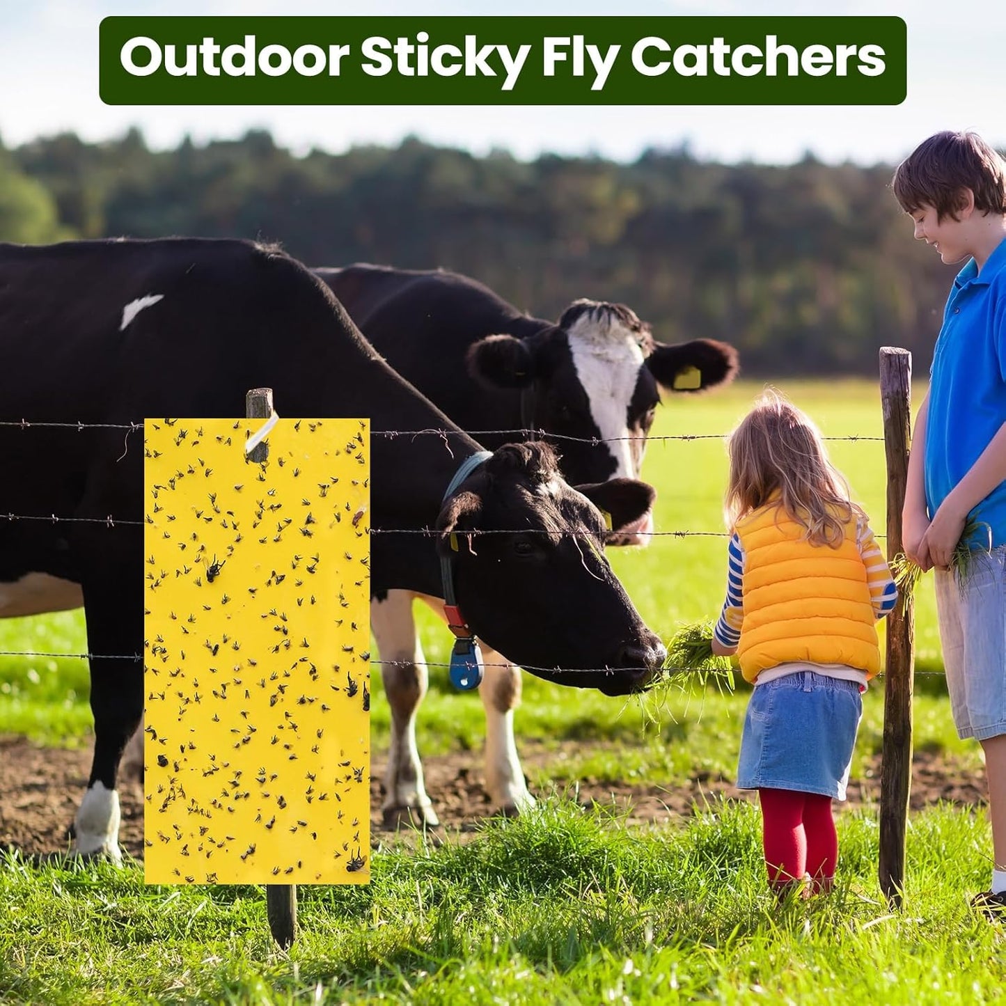 Qualirey 100 Pcs 7.87 x 3.9 Inch Sticky Traps for Plant Double Sided Sticky Trap for Gnats with Twist Ties Fly Traps for Fruit Insect Fungus Bugs Indoor Outdoor(Yellow)