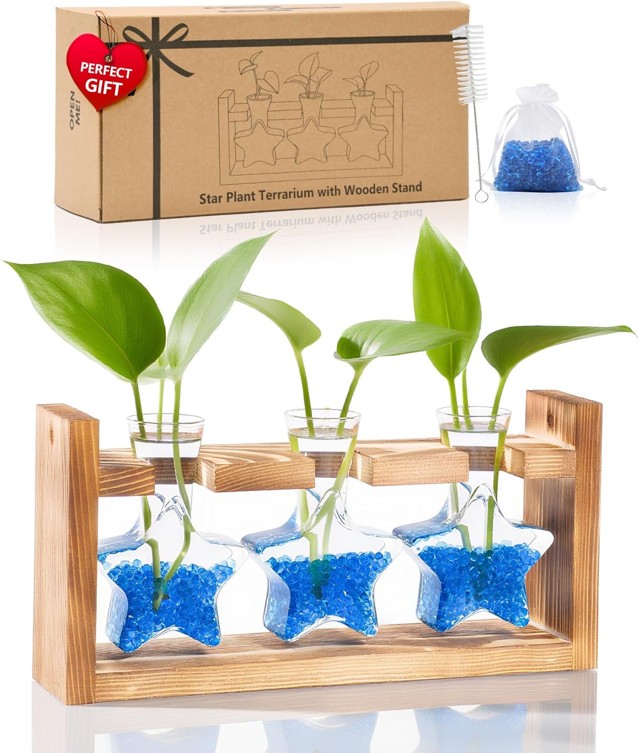 Nacome Plant Terrarium with Wooden Stand,Star-Shaped Planter Propagation Station Glass Vase for Home Office Decor- Unique Gifts for Plant Lovers Women Mom