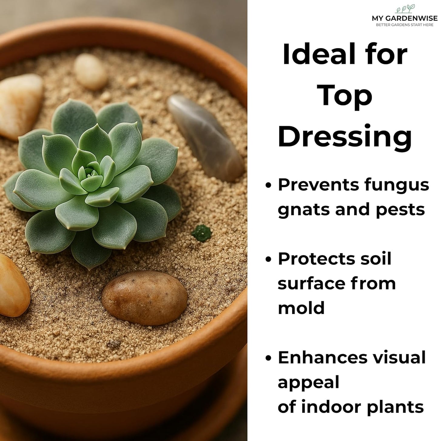 Fine Sand for Plants – Horticultural Sand for Succulents, Cactus, Potting Mixes, Terrariums & Decorative Indoor Gardens, Made in USA (3 quarts - 8.4 lbs)