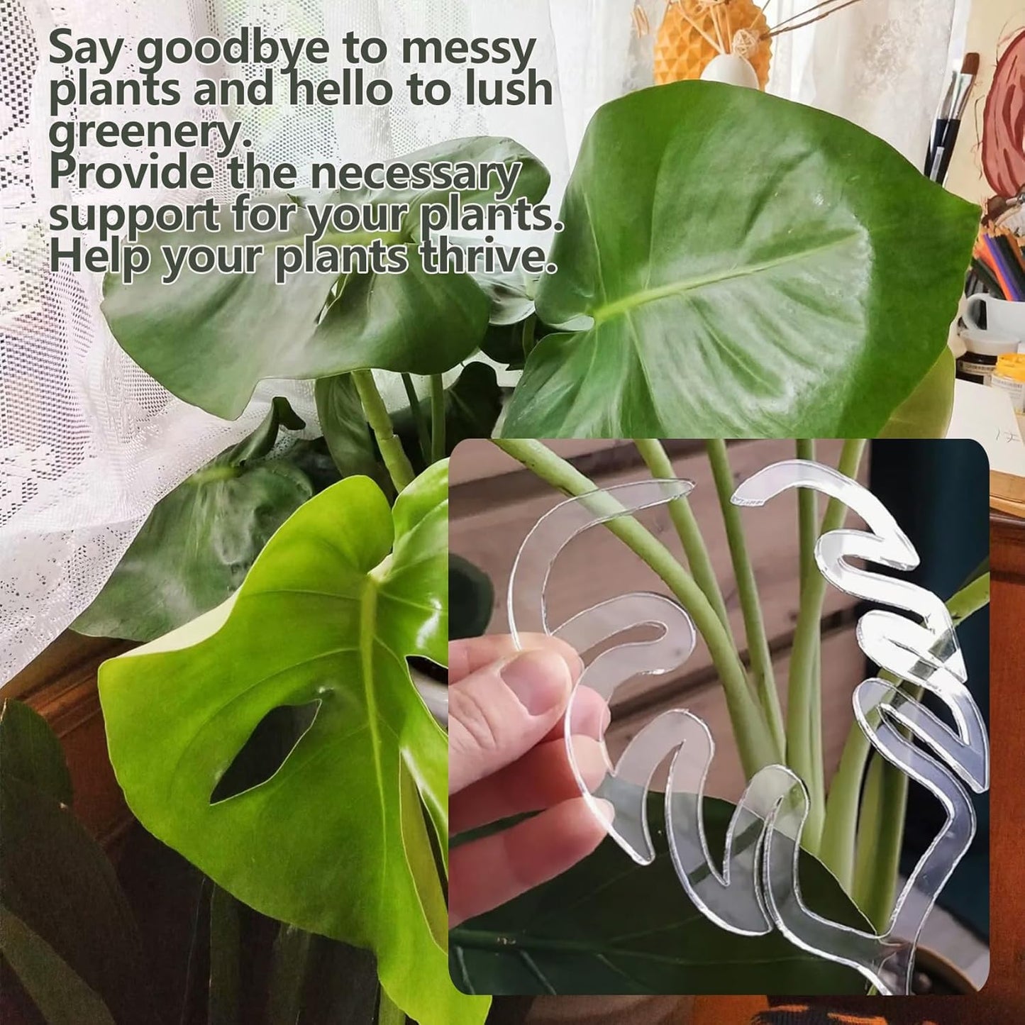 2PCS Plant Stem Support , Acrylic Monstera Stabilizer Grapple Holder Unique Design for Climbing Plants, Turtle Shell Bamboo Clamp Set, Ideal Plant Support for Thriving Growth Indoor Outdoor Plants