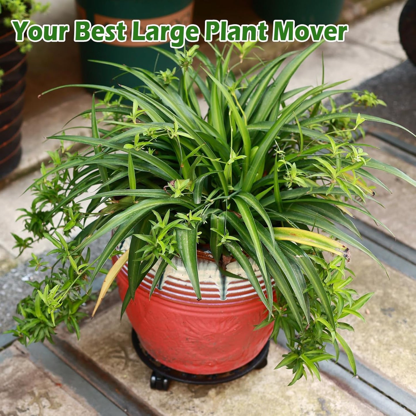 2 Packs 11 Inch Rolling Plant Stand with Wheels Wrought Iron Rolling Plant Stand with Casters Heavy Duty for Indoor Plants Rollers with Plant Saucers, Metal Round Plant Dolly