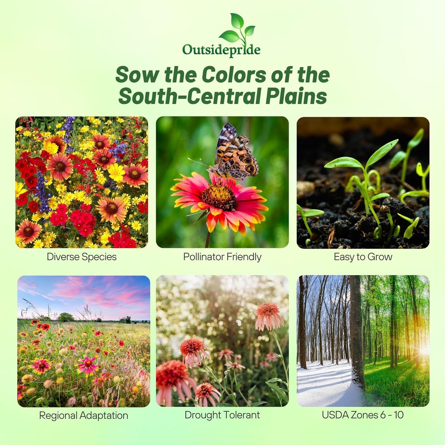 Outsidepride Texas & Oklahoma Wildflower Seed Mix - 1/4 lb Drought-Tolerant, Blend of Annual & Perennial Flower Seeds for Vibrant, Pollinator-Friendly Gardens, Thrives in Full Sun & Well-Drained Soil