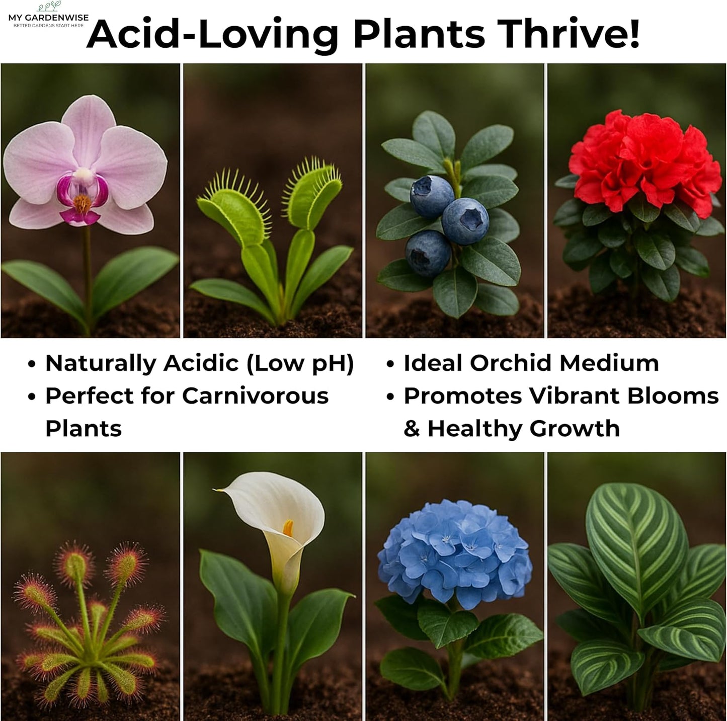 Peat Moss for Plants – Organic Sphagnum Peat Moss for Orchids, Terrariums, Seed Starting, Reptiles & Potting Soil Mix (15 quarts)