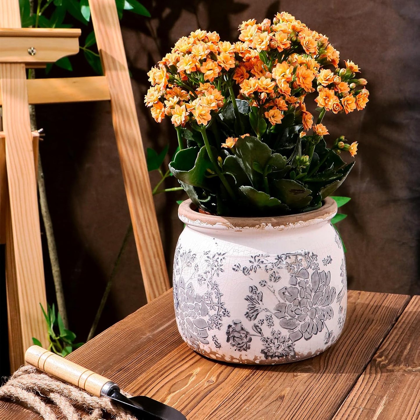 Vintage Grey Ceramic Ice Crack Flower Pot with Drainage Holes, Country Rustic Planters for Indoor and Outdoor,Tuscan Decor,Home,Living Room, Garden Decor, Gardening Gift