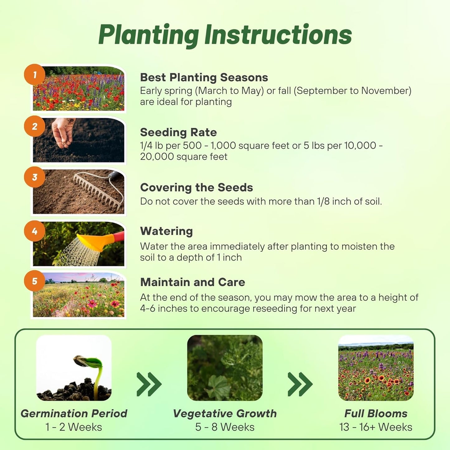 Outsidepride Texas & Oklahoma Wildflower Seed Mix - 1/4 lb Drought-Tolerant, Blend of Annual & Perennial Flower Seeds for Vibrant, Pollinator-Friendly Gardens, Thrives in Full Sun & Well-Drained Soil