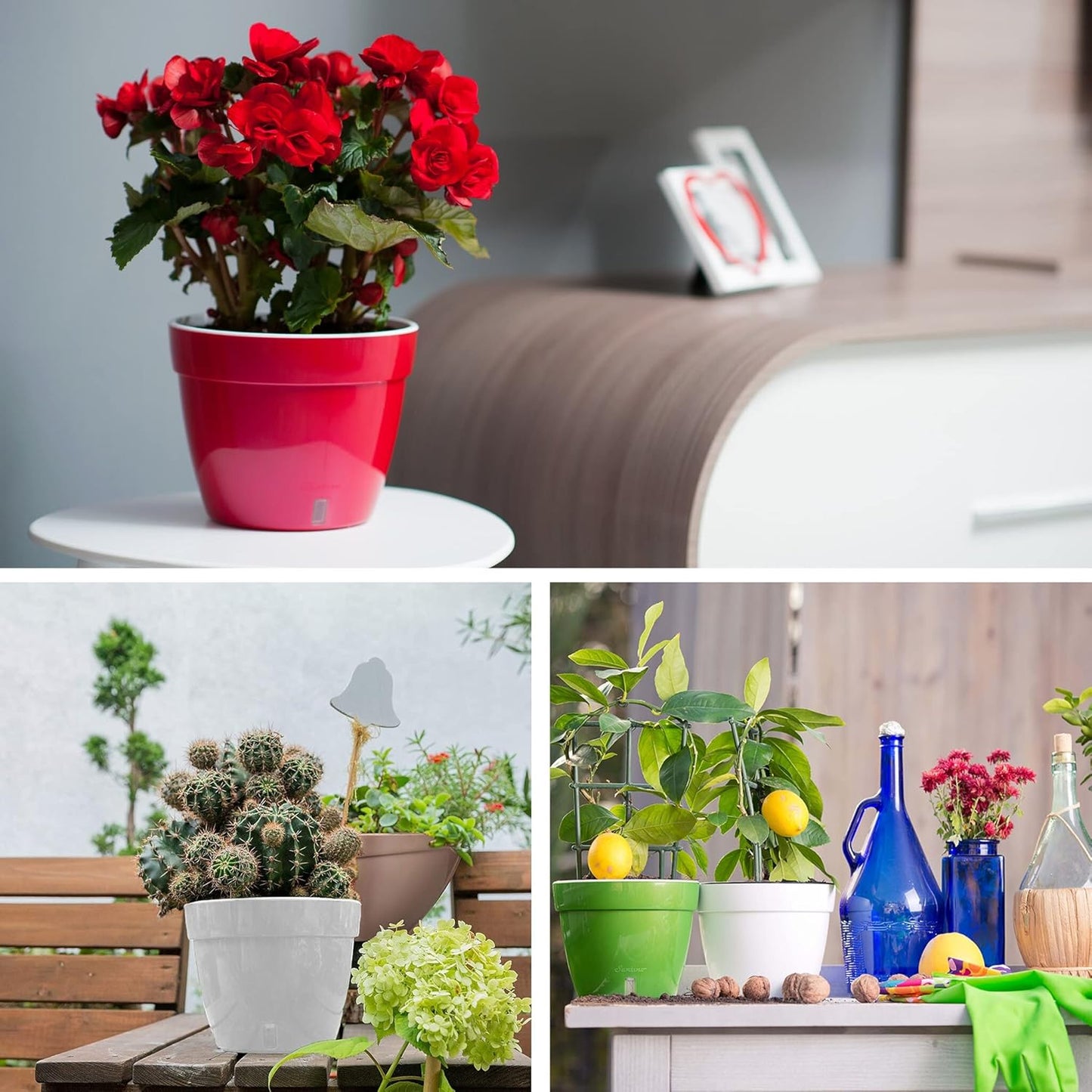 Santino ASTI 10.6 Inch Self Watering Planter Black-Gold/Black (Set of 3) for Indoor Plants - Premium Quality Modern Plastic Pot w/Water Level Indicator for House Plants, African Violets and Dahlias