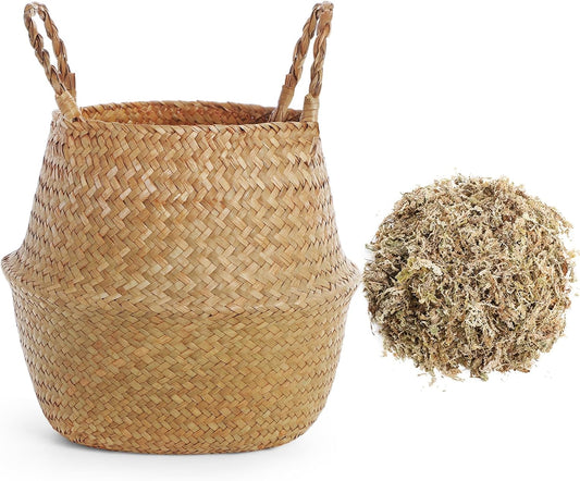2 Pack Large Wicker Plant Basket with Handle 10 Inch Woven Seagrass Belly Basket and Artificial Moss for Plants Picnic Grocery Laundry House Storage Home Decor (Large)