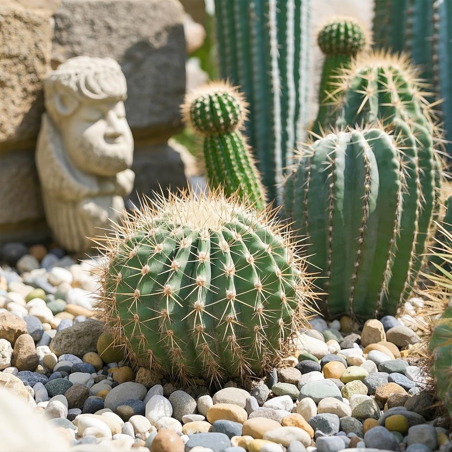 River Rocks, 20lbs Aquarium Rocks, 2-3 Inch Colorful Pebbles for Indoor Plants, Natural Stones for Landscaping Garden Paving Plant Rocks Crafting Walkways