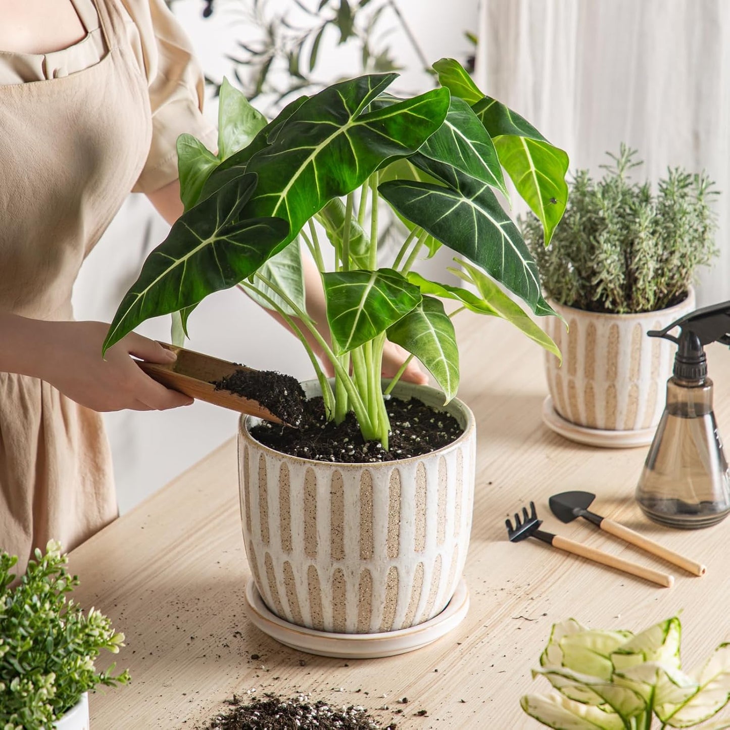 Ceramic Flower Pots Indoor-Outdoor: 7.75 Inch Large Planters with Drainage Holes & Saucer - Modern Decorative Plant Pots Ceramic for Home Gardeners (Striped)