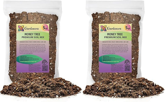 Money Tree Potting Soil - 10 Quart - Soil Mix for Planting or Repotting Guiana Chestnut, Soil Blended to Properly Grow Money Tree Plants (2 Bags of 5 Quart)