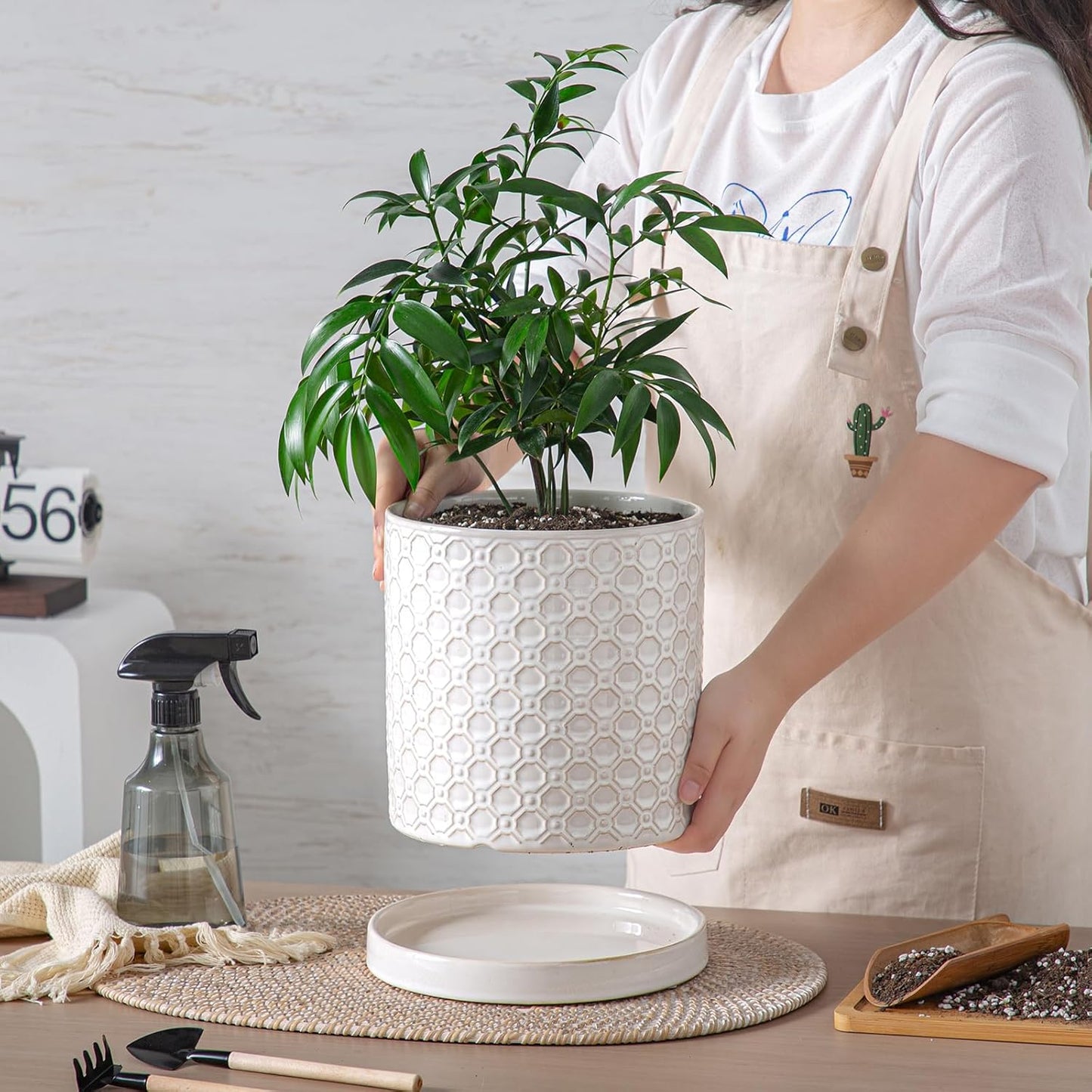 8 Inch Plant Pot: Ceramic Planter with Drainage Hole & Saucer Indoor Outdoor Plants - Cylinder Round Flower Pot for Home Office - Modern Decorative - Medium White