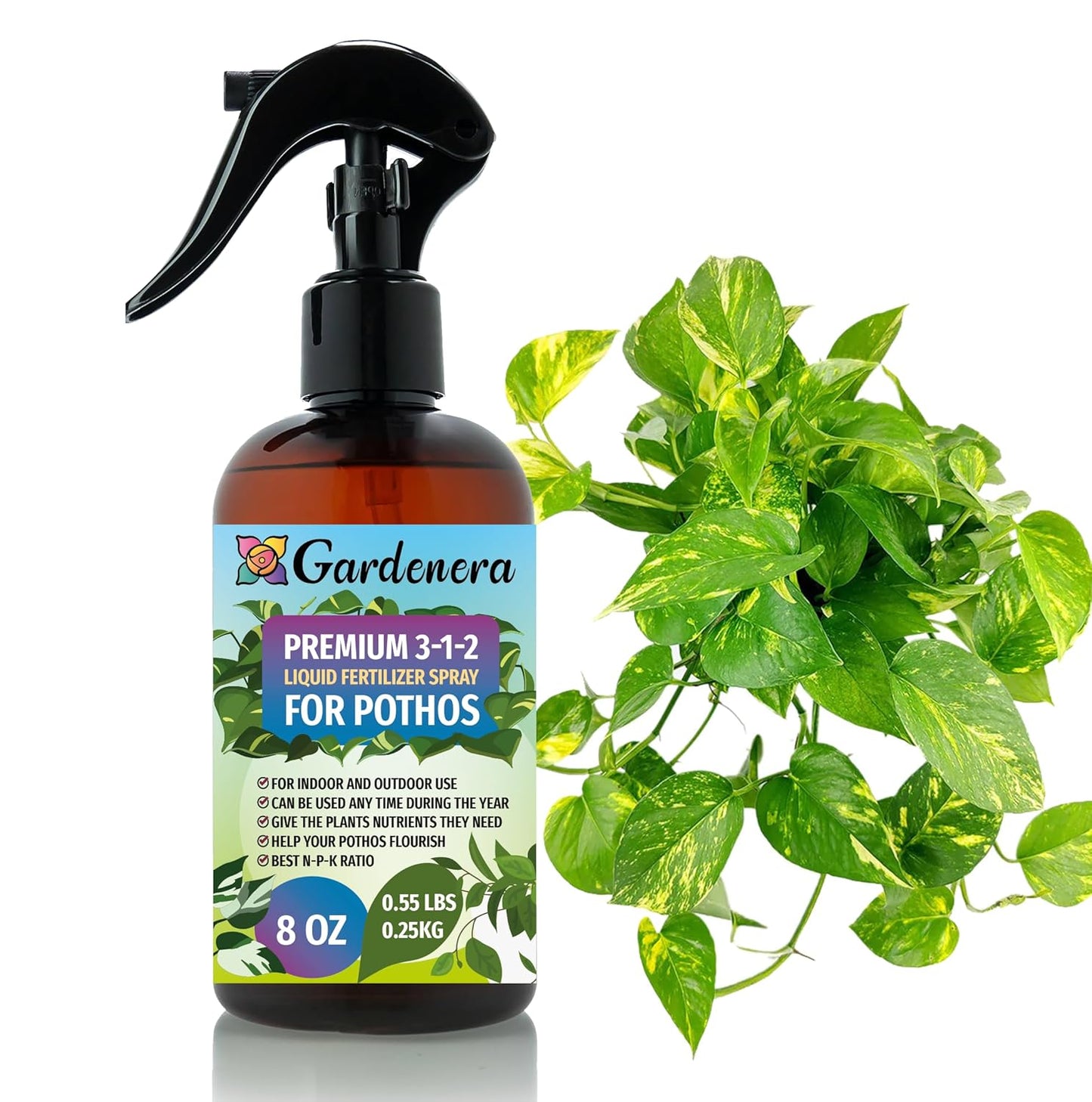 Professional POTHOS Spray Fertilizer Mist for Home Gardening | 3-1-2 Gentle Blend Mist for Healthy Leaves & Growth | Essential Nutrients for Pothos Plants - 8oz