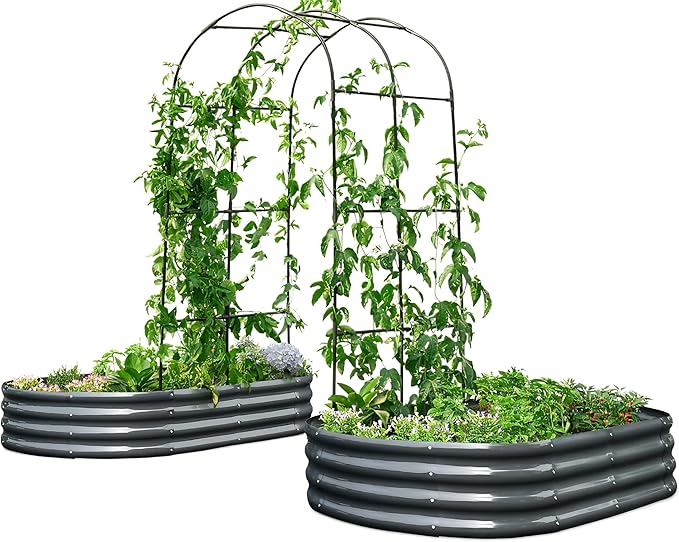KING BIRD Raised Garden Bed with Arched Trellis Galvanized Planter Garden Box Outdoor for Gardening, Climbing Vegetables, Flowers 5.9x2.95x0.98 Ft 2PCS, Dark Grey