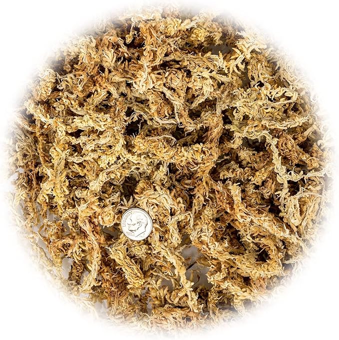 Premium New Zealand Sphagnum Moss - Organic Hand Mixed Long Fibered Sphagnum Moss Orchid - 5 Quart