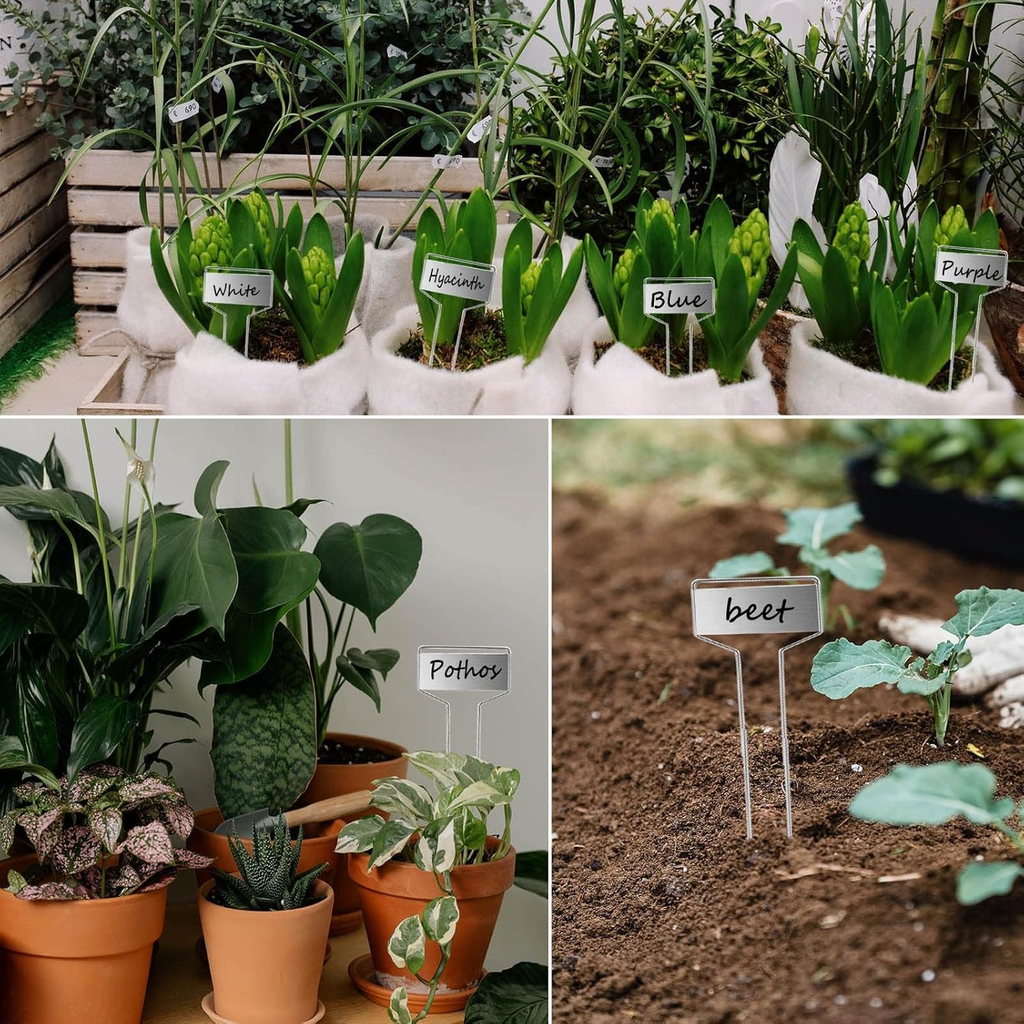 30pcs Plant Labels Plant Markers for Outdoor Plants 6inch Plant Labels for Seedlings Outdoor Garden Waterproof Plant Tags and Labels for Flower Vegetable Herbs Greenhouse (6 in, Silver)