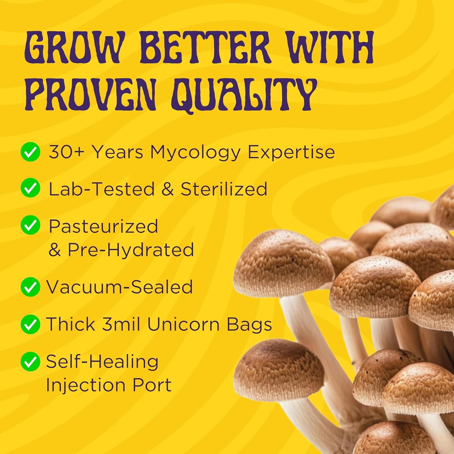 2 LB 2-Pack All-in-One Grow Kit: Up to 64oz of Mushrooms! Nutrient-Enhanced, Injection Port, Just Add Your Own Spores & Grow Like Magic (2 x 2 LB Bags)