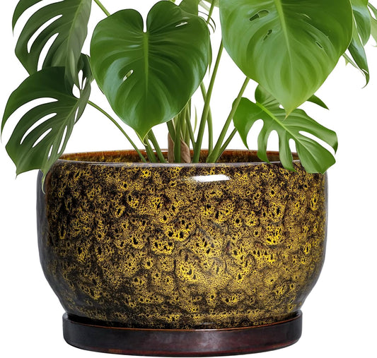 SQOWL 10 Inch Plant Pot - Ceramic Flower Pots with Drainage Hole and Saucer, Ceramic Planter for Indoor Plants Outdoor, Decorative Round Large Planter, House Decor, Gifts for Women Men, Yellow