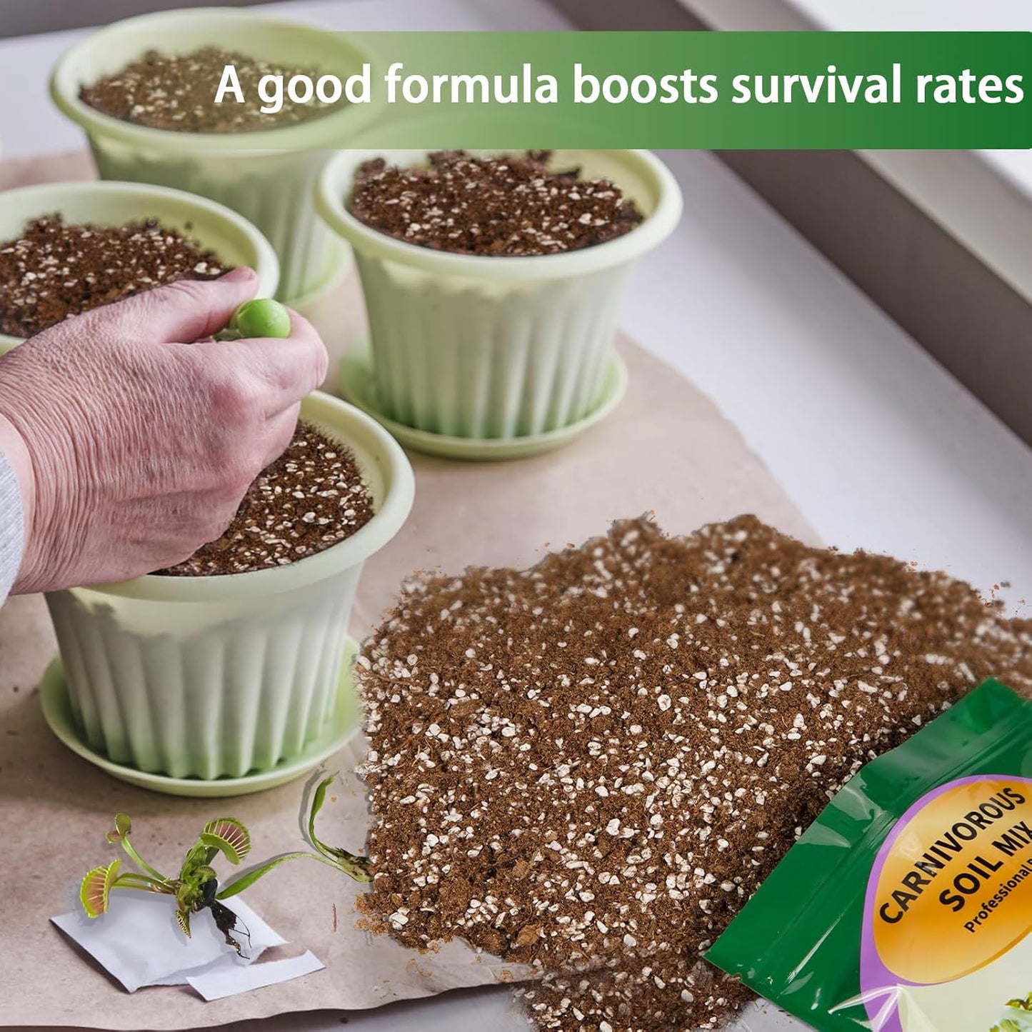 Carnivorous Plant Soil Mix 2qt, Pure Peat Moss and Perlite Mixture for Venus, Pitcher, Butterwort, Nepenthes, Sundew