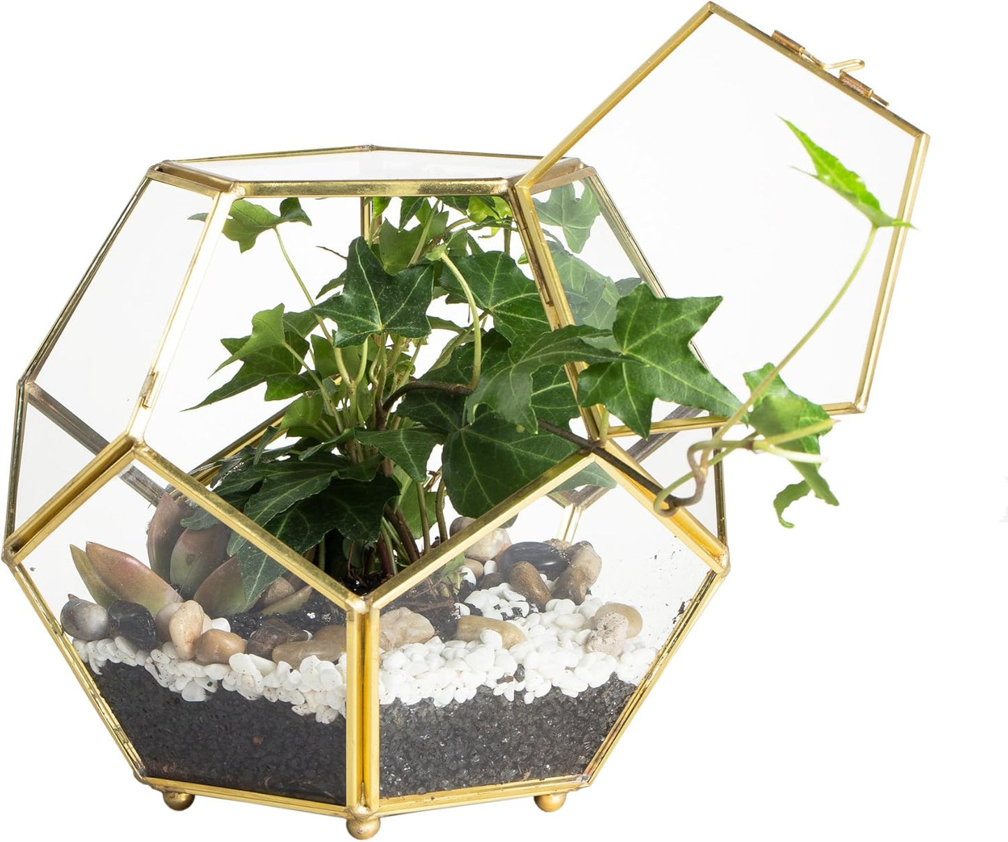 NCYP 6.89 x 6.89 x 5.9 inches Glass Geometric Terrarium Planter with Door and Foot, Pentagon Ball Shape Close Flower Pot for Fern Succulents Plants, Small, Gold (No Plants)