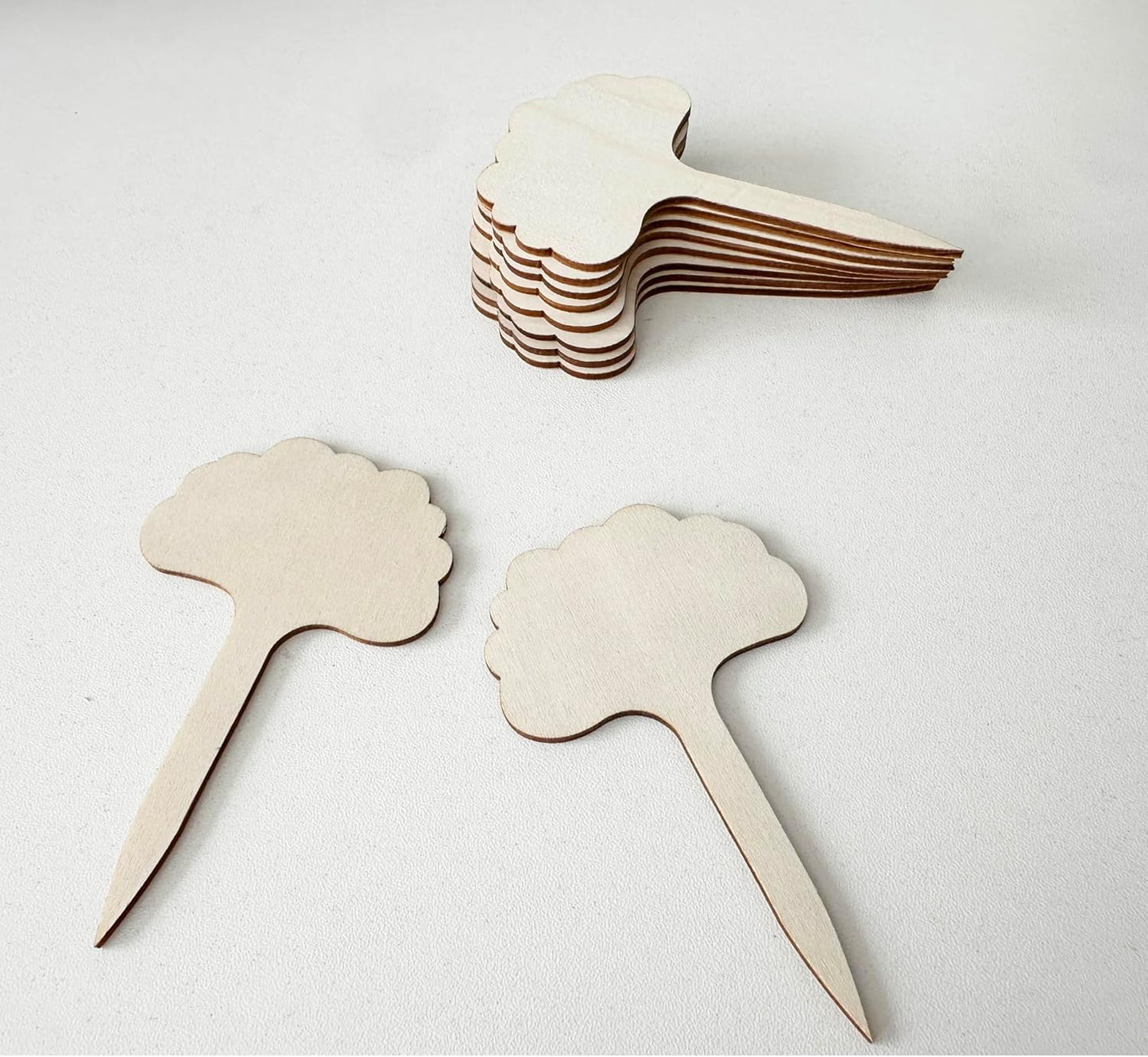 100 Pcs Wood Plant Labels, Natural Wooden Plant Marker Garden Sign Tags, T-Type Garden Markers for Succulents, Herbs, Seedlings, Potted, Flowers, Vegetables (Cloud)