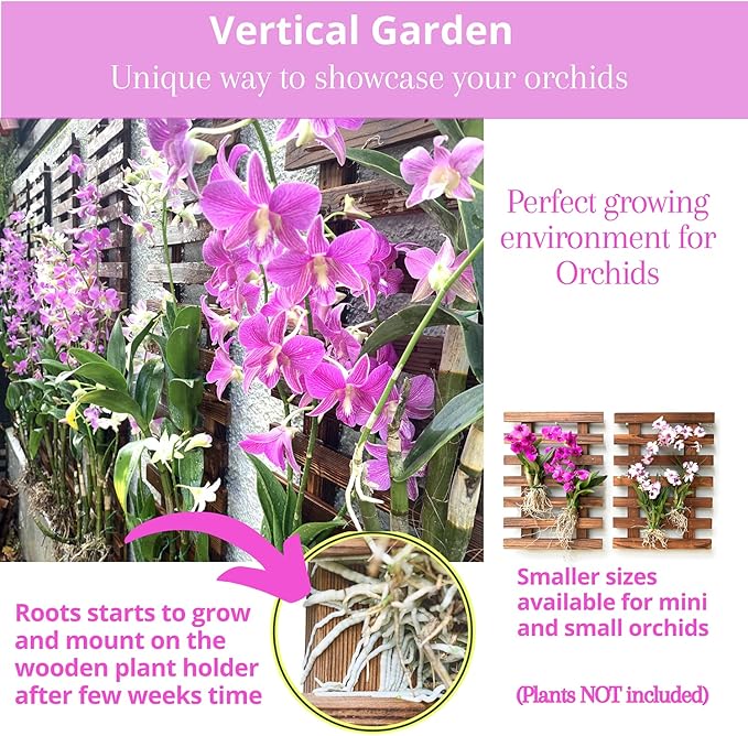 ShopLaLa Wall Planter-2 Pack Wooden Hanging Planters for Indoor Plants,Wall Mounted Plant Stand Ladder Outdoor Vertical Garden Balcony Unique Live Orchid Planter Large Dark Brown Wall Decorations