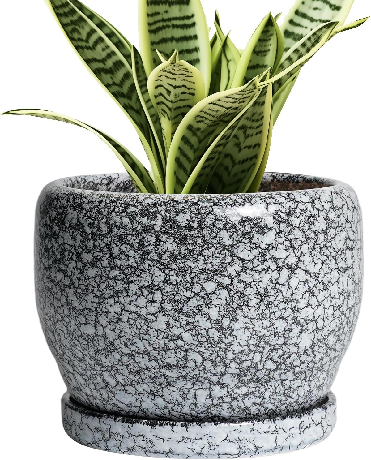 SQOWL Ceramic Pot for Plants - 6 Inch Ceramic Planter for Indoor Outdoor, Decorative Plant Pot with Drainage Hole and Saucer, Round Planter for Flower, Bedroom Decor, Garden Gifts, Black and White